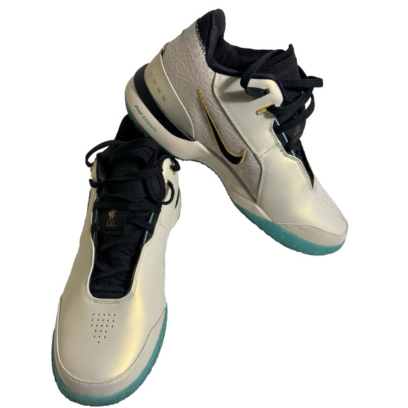 Nike Zoom LeBron NXXT Gen AMPD Men's Size 11.5 - Picture 1 of 10